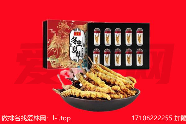 阿鲁科尔沁旗回收虫草.jpg